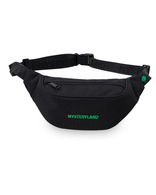 Birdie Fanny Pack image